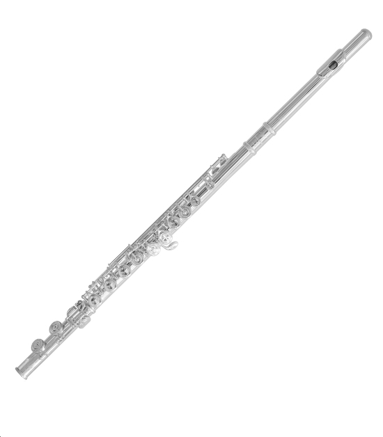 new 10x flute 
